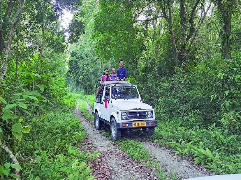 *তবে রাস্তা সংলগ্ন জঙ্গলে দেখা মিলছে বাইশন, হাতি, হরিণ ও হাতির।দুপুর ও বিকেলের সময় এই বন্যজন্তুদের দেখা যাচ্ছে। এই খোঁজ পেতেই দেখা যাচ্ছে পর্যটকদের ভিড়। সাফারির থেকে ভাল দৃশ‍্য জাতীয় সড়ক সংলগ্ন রাস্তায় দেখা যাচ্ছে বলে জানালেন পর্যটকরা।
