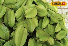 সস্তার ফল বলে একেবারেই নাক শিটকান, ভিটামিন সি-র সিন্দুক, সর্দি কাশি দরজার খিল