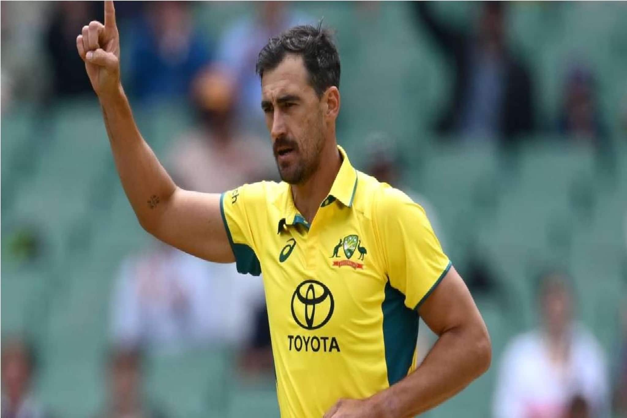 IPL 2025: এত বড় কথা! আইপিএলের আগে ভারতকে নিয়ে যা বললেন স্টার্ক, আগে কেউ বলেনি