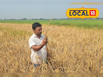 শোষক