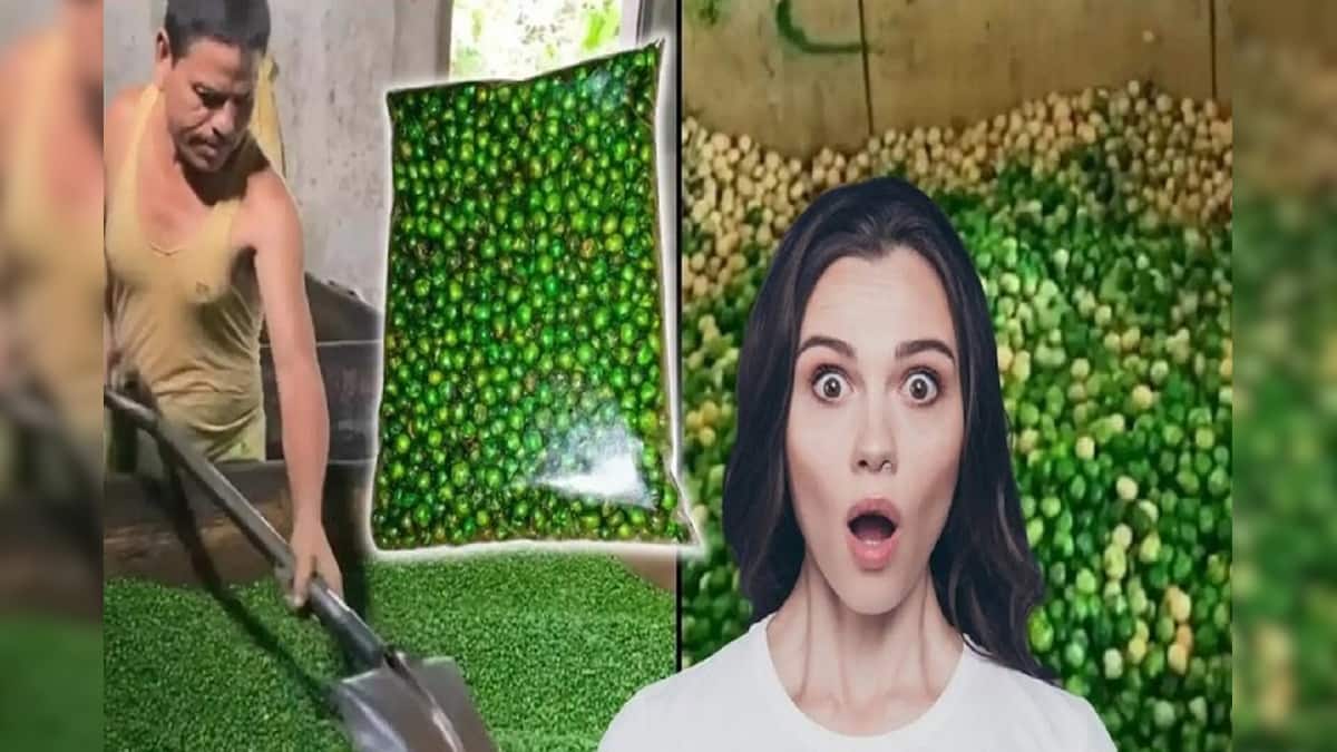 Green Peas বাসে ট্রেনে সবুজ মটর কিনে খান? মটরশুঁটি নয় কিন্তু, আসলে কী