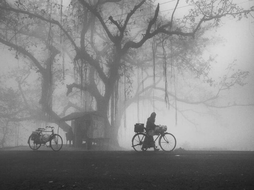 রবিবার আবহাওয়া কেন্দ্রের দৈনিক আবহাওয়া প্রতিবেদনে বলা হয়েছে, তেলেঙ্গানার বিভিন্ন স্থানে সকালে তিন দিন কুয়াশা বা কুয়াশা থাকতে পারে। রাজ্যের সর্বোচ্চ তাপমাত্রা স্বাভাবিকের চেয়ে ২-৩ ডিগ্রি সেলসিয়াস বেশি থাকার পূর্বাভাস দেওয়া হয়েছে। আবহাওয়া দফতরের মতে, সাত দিনের মধ্যে তেলেঙ্গানায় শুষ্ক আবহাওয়ার সম্ভাবনা রয়েছে।