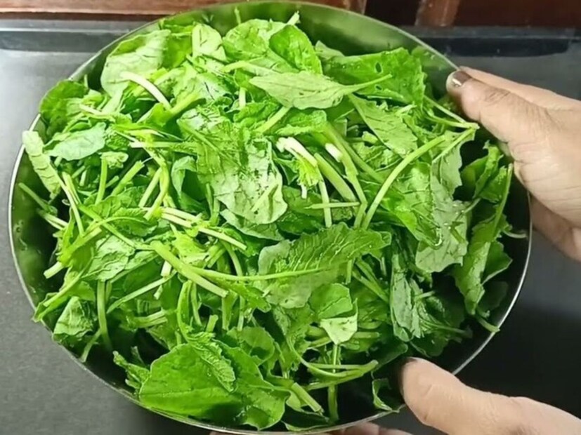 গুটিগুটি পায়ে আসছে শীত। আর শীত মানেই তো সবুজ শাক-সবজি জমিয়ে খাওয়া। গরম সাদা ধবধবে ভাতে সবুজ শাক মেখে খাওয়ার মজাই আলাদা। তরিতরকারির রমরমার পাশে শীতের দুপুরে এই শাকের জুড়ি মেলা ভার।