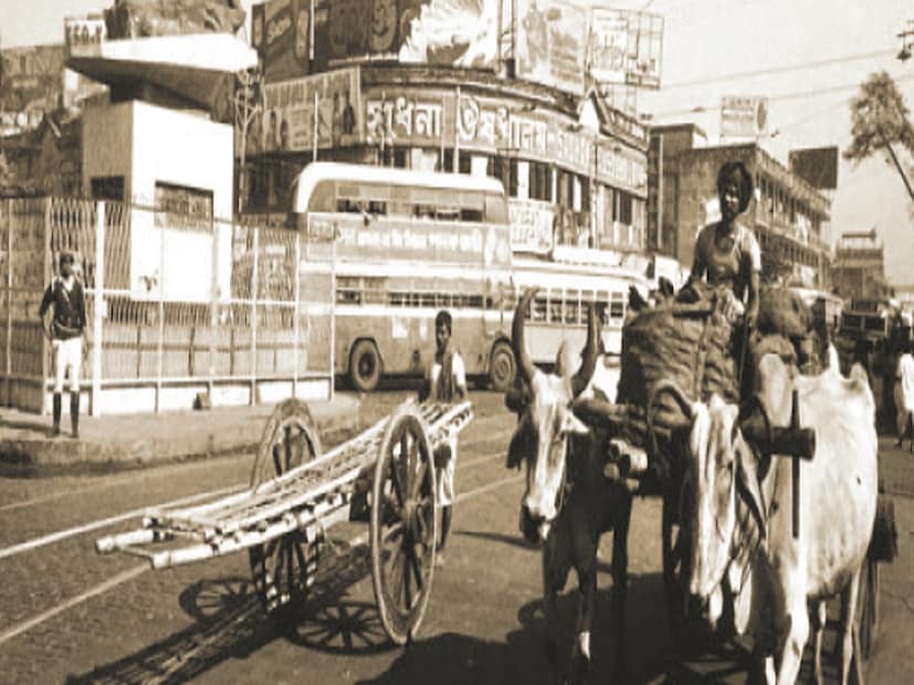 ফলে তাঁকে নিয়ে নানা কিংবদন্তির জন্ম হওয়াটা স্বাভাবিক। তেমনই এক জনশ্রুতি শ্যামবাজারের নামকরণ। কিন্তু, শ্যামাচরণ বল্লভ উনিশ শতকের শেষ দিকের মানুষ ছিলেন। ফলে এই মতের যৌক্তিকতা নিয়ে প্রশ্ন রয়েছে।