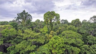 চরম আতঙ্ক ধূপগুড়িতে