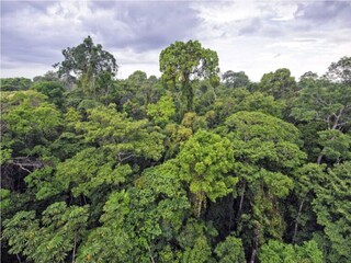 চরম আতঙ্ক ধূপগুড়িতে