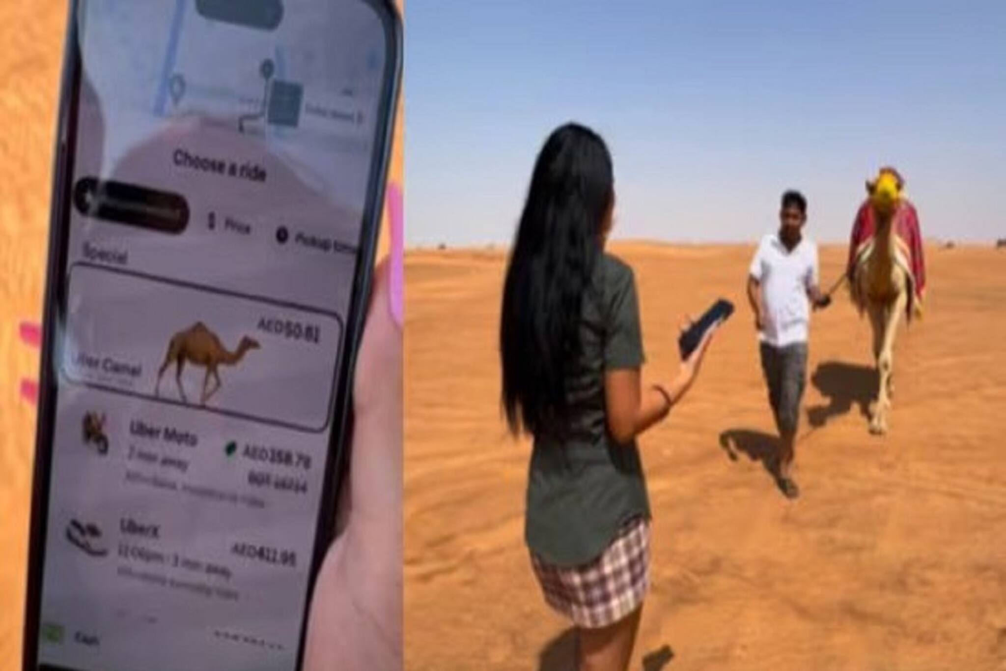 মরুভূমিতে এবার উবের ডেকে দেবে উট! কোথায় গেলে পাবেন এই অভিনব সুযোগ?