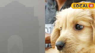 প্রতীকী ছবি