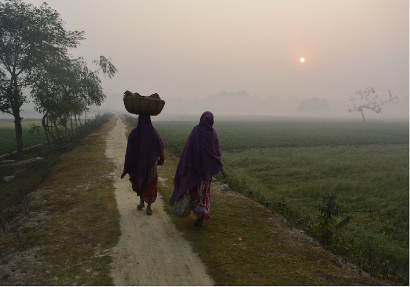 উত্তরবঙ্গের তিন জেলায় ঘন কুয়াশার দাপট। দক্ষিণবঙ্গের চার জেলায় মাঝারি কুয়াশা। সকালের দিকে সব জেলাতেই হালকা কুয়াশা ও ধোঁয়াশা।