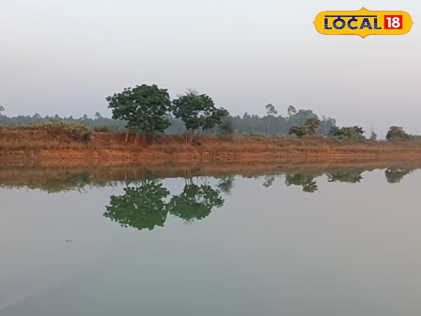কেবলমাত্র প্রিয়জন নয় পরিবারের সদস্যদের সঙ্গেও এক ফাঁকে ঘুরে আসলেই নিমেষের মধ্যে মন হয়ে যাবে তরতাজা। ঝাড়গ্রাম শহর থেকে মাত্র চার কিলোমিটার দূরে শুষনিগেড়িয়া এলাকায় রয়েছে শুষনিগেড়িয়া চেক ড্যাম ।