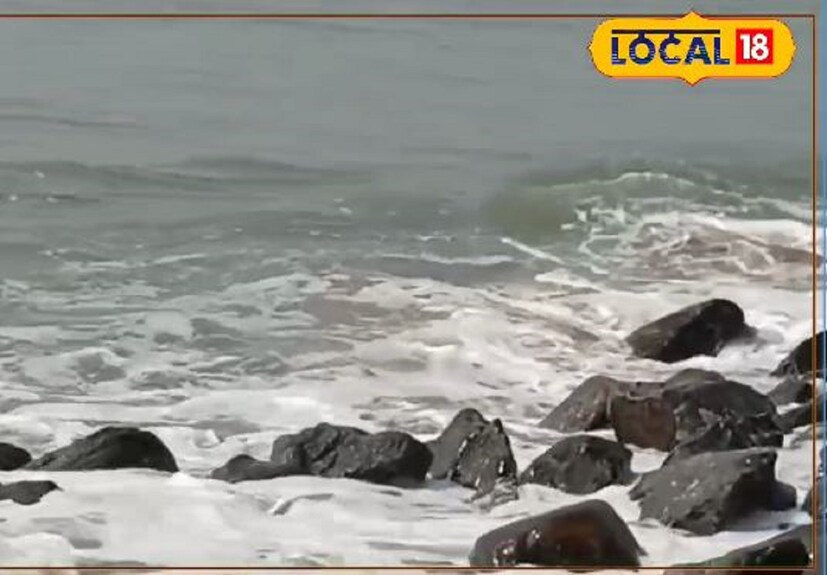 যদিও মৎস্য বিশেষজ্ঞরা জানিয়েছেন দিঘা সমুদ্র সৈকতে ভেসে আসা জেলিফিশ থেকে ভয়ের কিছু নেই। কারণ এই জেলিফিশ বিষাক্ত না। তবুও সতর্কতামূলক পদক্ষেপ হিসাবে দিঘার সমুদ্রে জেলিফিস ভেসে এলে ছুঁয়ে না দেখার পরামর্শ দিয়েছেন তাঁরা। (তথ্য: সৈকত শী)