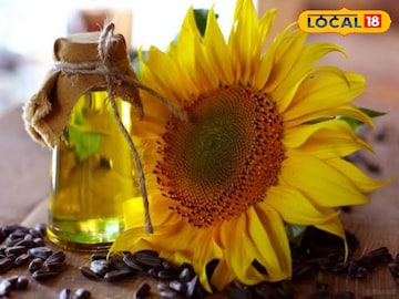 সরষে, সোয়াবিন নাকি সূর্যমুখী তেল খাবেন? বহু রোগকে দূর করে এই তেল! জানুন