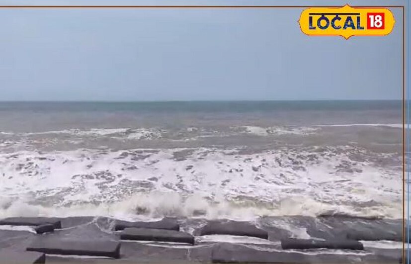 কী রোগ বাসা বাঁধতে পারে জেলিফিশ থেকে? বিশেষজ্ঞরা জানাচ্ছেন, জেলিফিশের শরীরে এক ধরনের টক্সিন থাকে। যা মানুষের সংস্পর্শে এলে মানুষের ত্বকে এক ধরনের স্কিন ডিজিজ তৈরি হয়। মানুষের ত্বক লাল হয়ে যায়। ত্বক ফুলে যায় এবং চুলকানি শুরু হয়। বিশেষজ্ঞের অভিমত কিছু কিছু ক্ষেত্রে এই চুলকানি সারা জীবনের জন্য থেকে যায়। নির্দিষ্ট চিকিৎসা পদ্ধতিতে জেলিফিশের সংস্পর্শে তৈরি হওয়া স্কিন ডিজিজ কিছুটা নিয়ন্ত্রণ করা যায়।