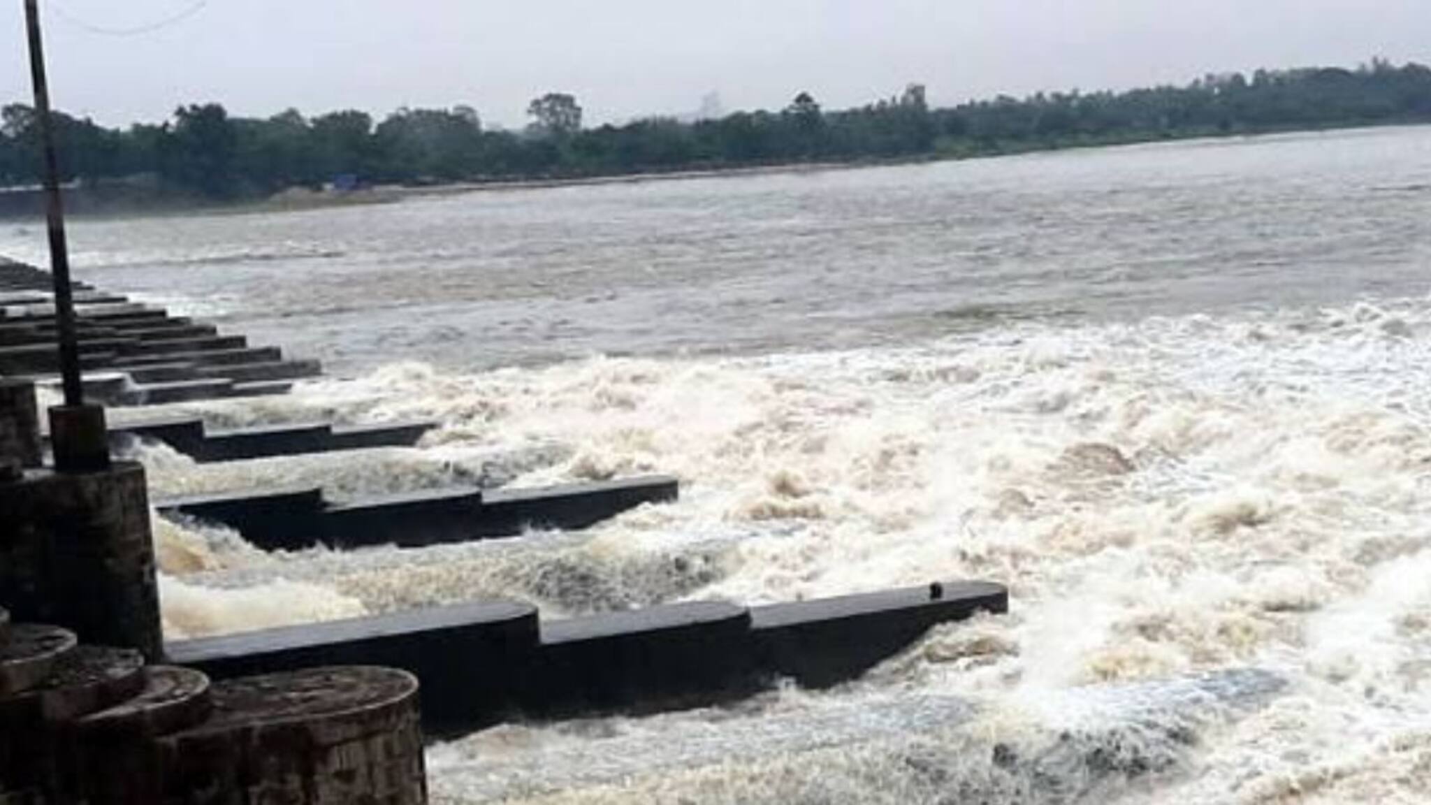 DVC: খারাপ খবর দিল ডিভিসি! মাথায় হাত কৃষকদের, বোরো ও রবিচাষে বড় ধাক্কা