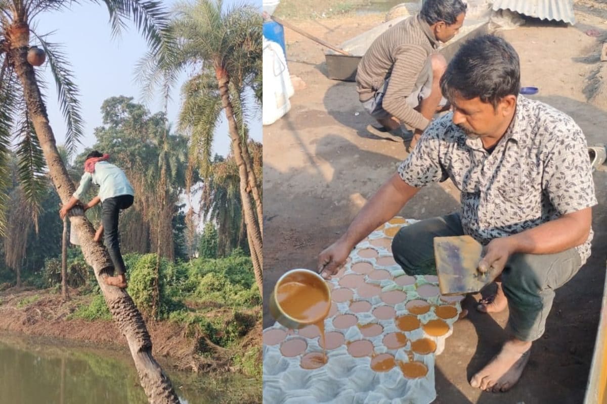 Jaggery: খাঁটি খেজুর গুড়ের সেরা ঠিকানা! শীত পড়তেই ক্রেতাদের ভিড় বাড়ছে এই গ্রামে