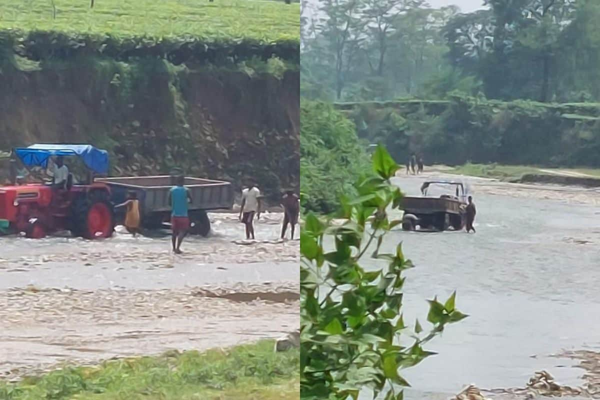 ভয়ঙ্কর অবস্থা, বিঘের পর বিঘে চা বাগান তলিয়ে যাচ্ছে নদীর গর্ভে!