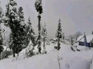 সিকিম না সুইৎজারল্যান্ড বোঝা দায়,বরফে মোড়া ইয়ুমথাং-লাচেন-লাচুং,উল্লসিত পর্যটকেরা