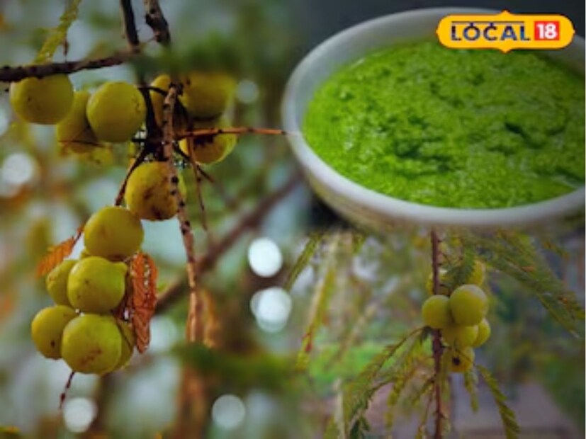 শীতকালে আমলা খাওয়া আমাদের স্বাস্থ্যের জন্য আশীর্বাদের চেয়ে কম নয়। সুস্বাদু হওয়ার পাশাপাশি এই ফলটি শরীরের জন্য খুবই উপকারী। আমলা সবজি, আচার ও চাটনি হিসেবে ব্যবহৃত হয়। এর মিষ্টি-টক ও মশলাদার চাটনি খেতে সুস্বাদু এবং উপকারী গুণে পূর্ণ যা শরীরের জন্য খুবই উপকারী।
