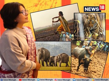অন্য ‘চরিত্রে’ অপরাজিতা, খামখেয়াল বাড়িতে অভিনেত্রীর চিত্র প্রদর্শনী