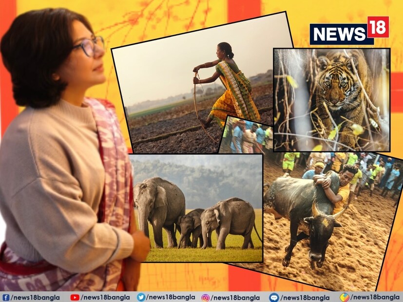 অপরাজিতা ঘোষ অভিনেত্রী। পর্দার পরিচিত মুখ। লাইট, ক্যামেরা, অ্যাকশনে সাবলীল। কিন্তু তিনি যে এমন ছবি আঁকতে পারেন কে জানত! না, অনেকেই জানতেন না। অবশ্য জানার কথাও নয়। তবে এবার জানবেন।