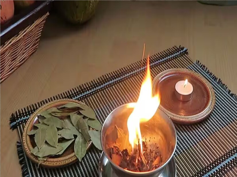 *তেজপাতা পড়ানো ধোঁয়া বাড়িতে মশা, মাছি বা বিষাক্ত পকা-মাকড় আসা আটকাতে সাহায্য করে। সংগৃহীত ছবি। 