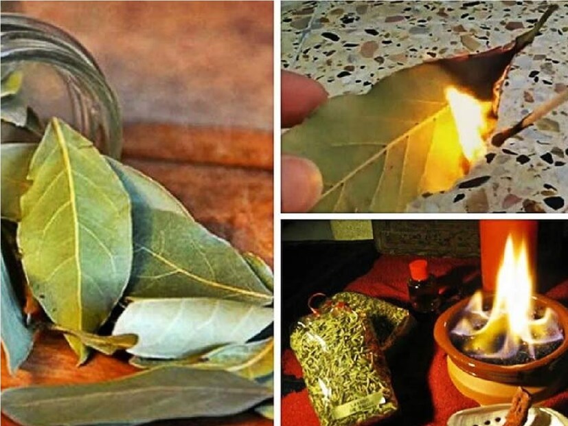 *তেজপাতা পড়ানো গন্ধ মন শান্ত করে। ঘুমের কোনও সমস্যা থাকলে এই তেজপাতা পড়ানো ধোঁয়া ঘুম আসতে সাহায্য করে। ঘুম না এলে মাত্র দুটি তেজপাতা নিয়ে পুড়িয়ে নিন, এতে মন শান্ত হবে, ধোঁয়া শরীরে প্রবেশ করলে নার্ভ রিল্যাক্স হবে, সহজেই ঘুম চলে আসবে। সংগৃহীত ছবি।