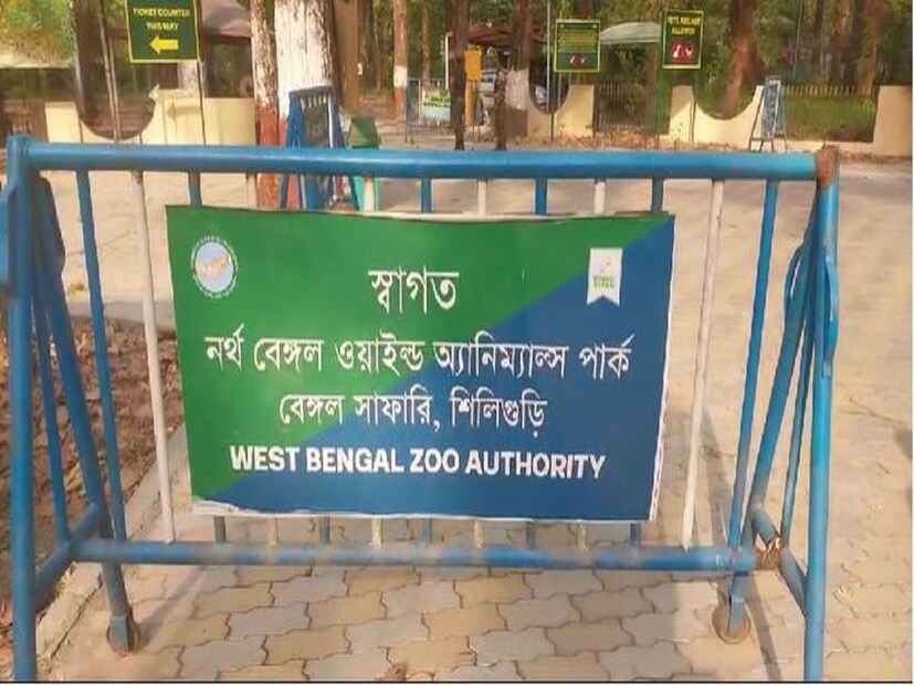 যদিও এই ঘটনার পরই মুখে কুলুপ এঁটেছেন সাফারি পার্ক কর্তৃপক্ষ৷ বিষয়টি নিয়ে খোঁজ খবর নিচ্ছেন বন দফতরের কর্তারাও৷ 
