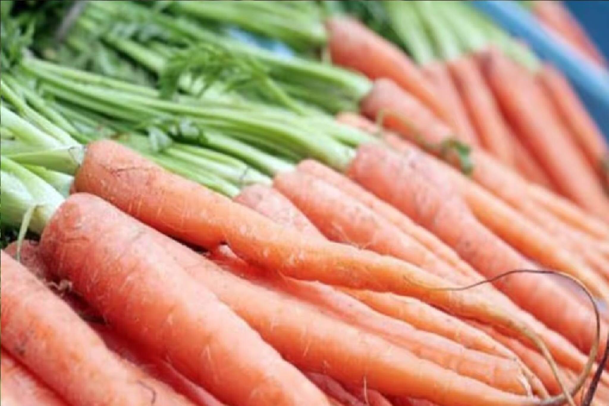 পাতে এই সবজি 'মাস্ট', ক্যানসার হবে জব্দ! শরীর হবে লোহার মতো মজবুত