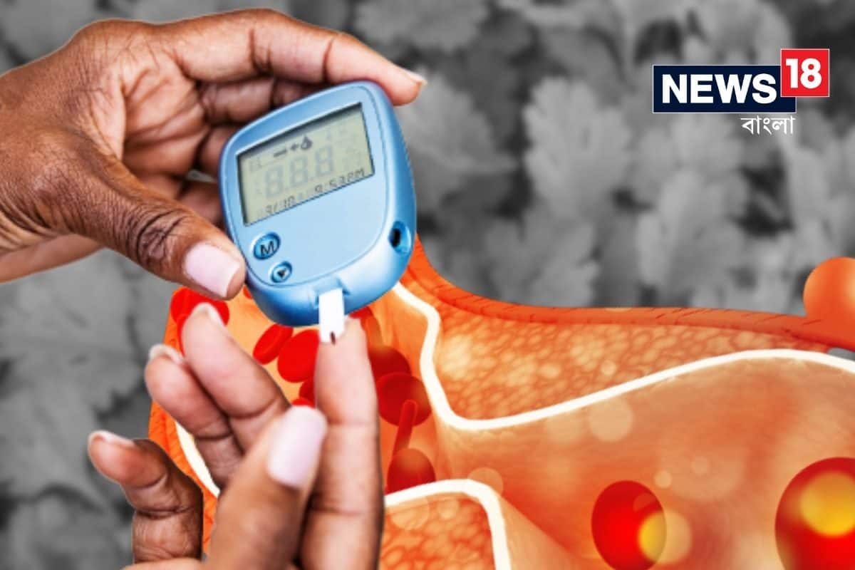 Cholesterol Control Tips: শীতে বাজার ছেয়েছে ‘এই’ সুগন্ধি পাতায়, টেনে বের করে রক্তের সব ‘বিষ’ পদার্থ, কোলেস্টেরল-ডায়াবেটিস একেবারে নিয়ন্ত্রণে