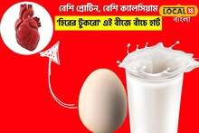 দুধের থেকে বেশি ক্যালসিয়াম!'হিরের টুকরো' এই 'বীজ' ব্যাড কোলেস্টেরল কন্ট্রোল করে