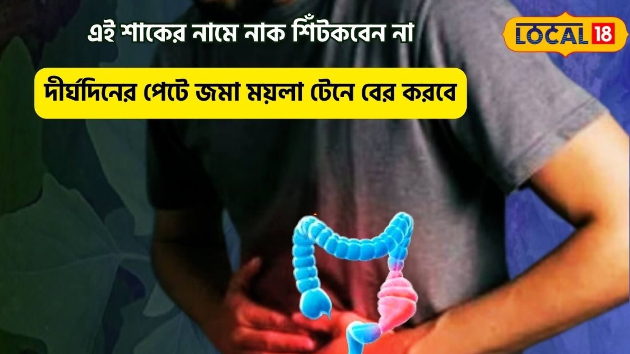 দীর্ঘদিনের পেটে জমা ময়লা বের হবে!পেট সাফ করবে এই শাক, পাইলসের জ্বালায় আরাম