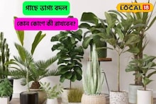 মুঠো মুঠো টাকা আসবে,গাছ বয়ে আনবে সম্পত্তি, ঘরের কোন কোণ কোন গাছে ভাগ্য বদল?