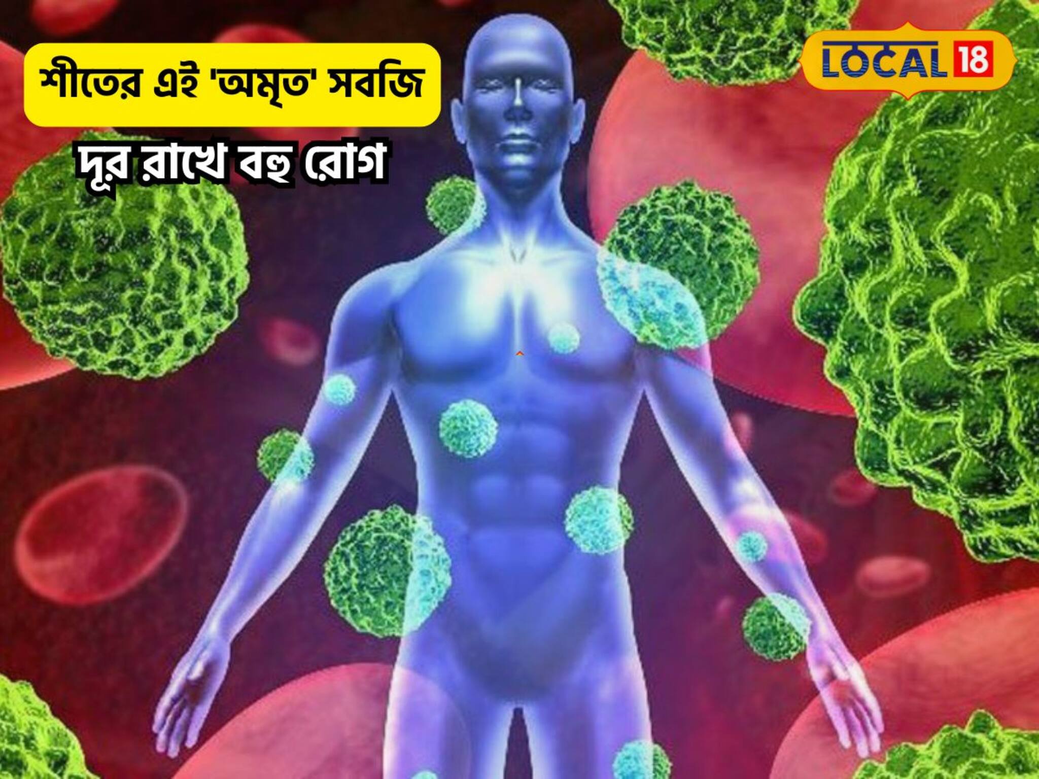 শীতে ক’মাসই পাবেন এই সবুজ 'অমৃত' সবজি,পটাশিয়াম ভাণ্ডার,দূরে রাখে ক্যানসার