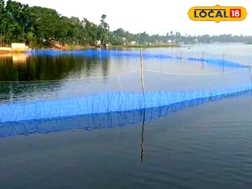 Pisciculture: মাছ চাষে দেশে এক নম্বর হতে চায় রাজ্য! চাষিদের নিয়ে বিরাট উদ্যোগ জেলায় জেলায়