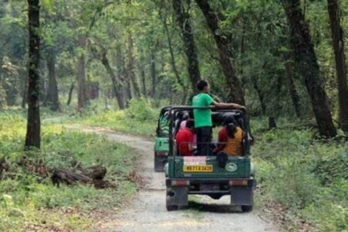 রাতের অন্ধকারে উধাও...! এবার কি বন্ধ হতে চলেছে হোটেল-রিসর্ট? বক্সাতে আজব কাণ্ড!