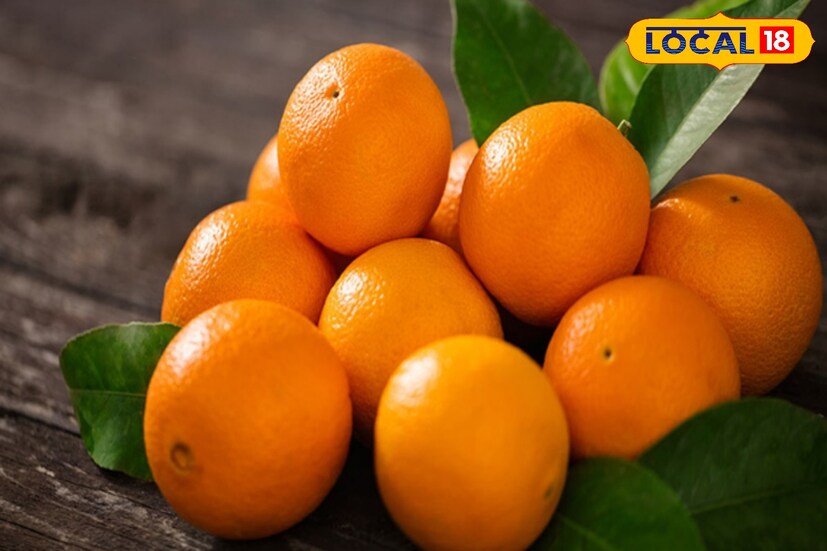 *কমলালেবুতে রয়েছে প্রচুর পরিমাণে ফাইবার যা ওজন কমানোর পাশাপাশি হজমশক্তিকেও শক্তিশালী করে। ফলস্বরূপ দীর্ঘক্ষণ পেট ভরা রাখে এবং অতিরিক্ত খাওয়ার অভ্যাস রোধ করে।