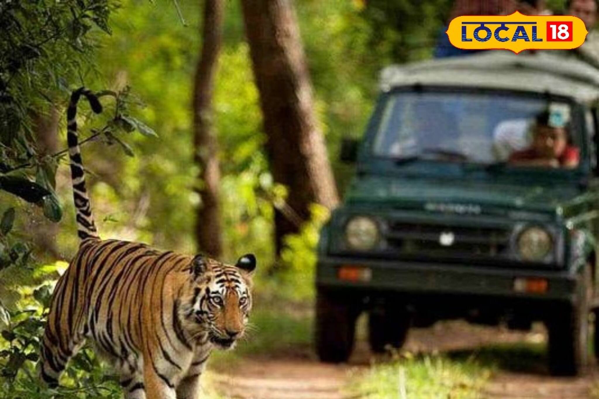 পাহাড়-সমুদ্র তো যানই,এবারে গন্তব্য জঙ্গল? রইল ভারতের সেরা ৫ জাতীয় উদ্যানের হদিশ