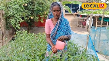 বাড়িতেই