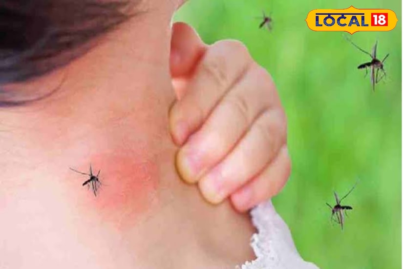 *মশা কামড় দিলে স্কিনে কেমন জ্বালাতন বা ইরিটেশন হয়। মশার কামড়ের জায়গায় যদি অল্প টুথপেস্ট লাগানো যায় তবে ইরিটেশনটা কমে যায়। কাপড় আয়রন করার জন্য আমরা যে যন্ত্রটি ব্যবহার করি তা পরিষ্কার করা যায় টুথপেস্ট দিয়ে। এতে করে ইস্ত্রি দেখতে চকচকে লাগে।