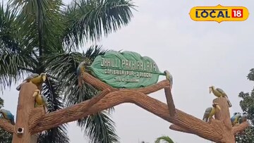 ঝিল্লির