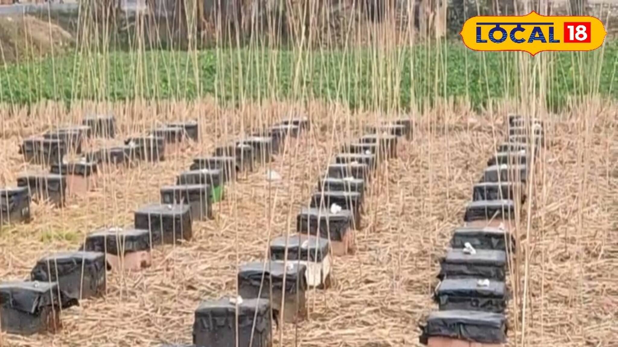 নামমাত্র বিনিয়োগ, বাকিটা ইতিহাস! এই ব্যবসায় লাভের অঙ্ক মানেই সোনায় সোহাগা