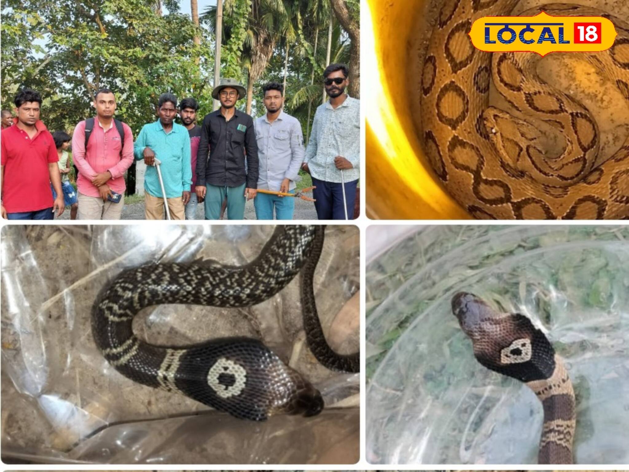 হাওড়ায় এতদিন লুকিয়ে ছিল, ধরা পড়ল ভয়াবহ বিষধর সেই সাপ! ১-২টি নয়, ১৪ খানা