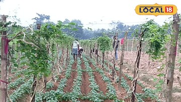 কুন্দরি