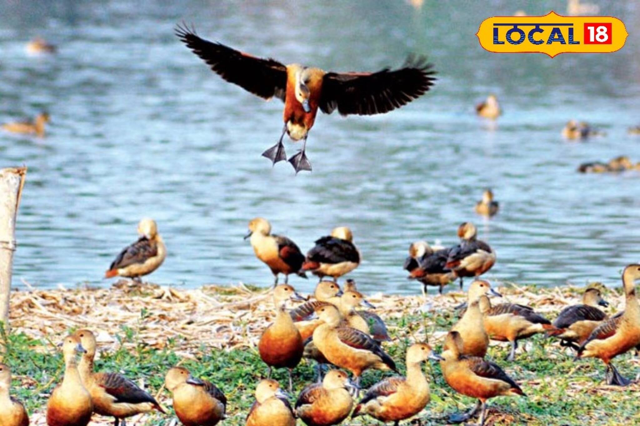 শীত পড়তেই ভিড় জমছে ফুলবাড়ি ব্যারেজে! কারণটা কী শুনে নিন