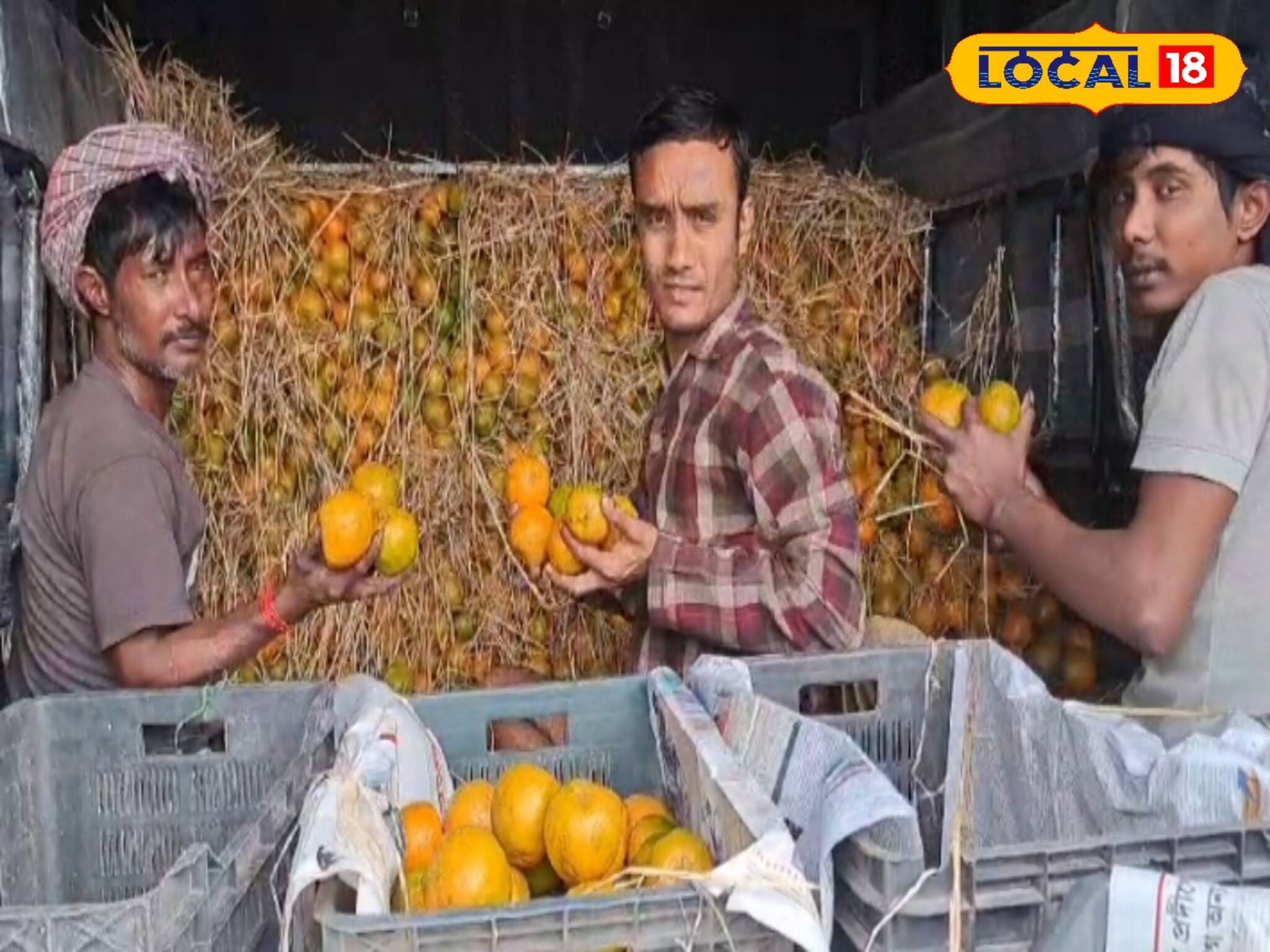 দার্জিলিং-এর কমলার দেখা নেই, বাজার দখল করেছে নাগপুরের কমলালেবু