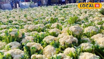 শীতকালীন