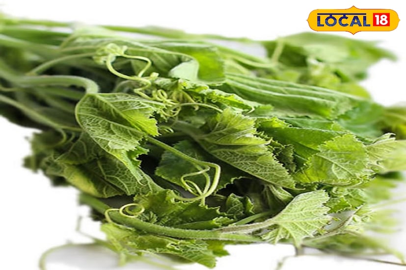 কুমড়োর শাকে প্রচুর প্রোটিন রয়েছে। যা রক্তে শর্করার মাত্রা নিয়ন্ত্রণ করে। এটি ডায়াবেটিস রোগীদের জন্য খুব উপকারী। এছাড়া এই শাক খেলে রক্তের কোলেস্টেরলও নিয়ন্ত্রণে থাকে।  কুমড়োর শাকে প্রচুর প্রোটিন রয়েছে। যা রক্তে শর্করার মাত্রা নিয়ন্ত্রণ করে। এটি ডায়াবেটিস রোগীদের জন্য খুব উপকারী। এছাড়া এই শাক খেলে রক্তের কোলেস্টেরলও নিয়ন্ত্রণে থাকে।