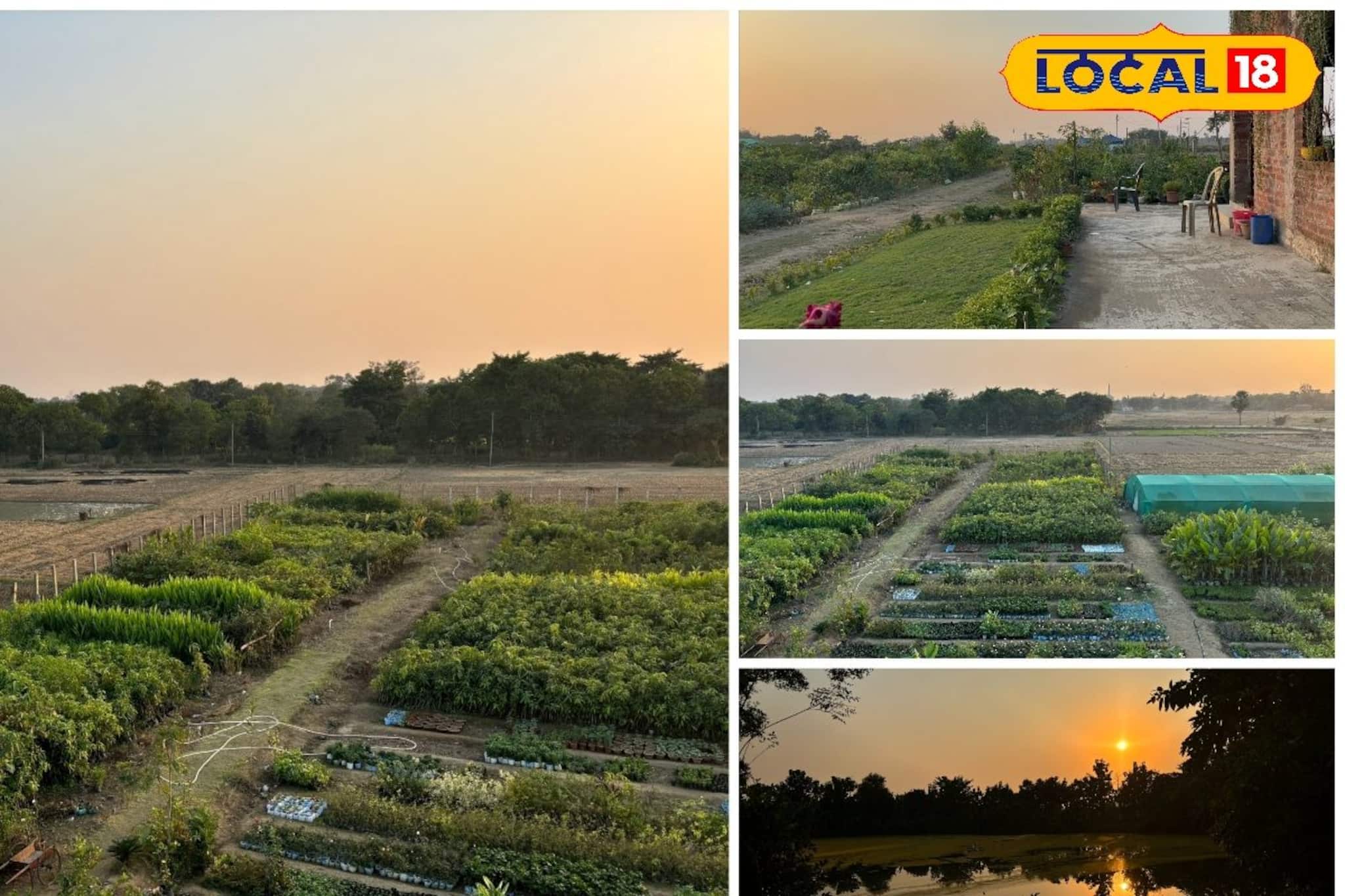 গ্রাম্য পরিবেশ সবুজে ঘেরা, শীতের মরশুমে পিকনিকের জন্য আদর্শ এই জায়গা 