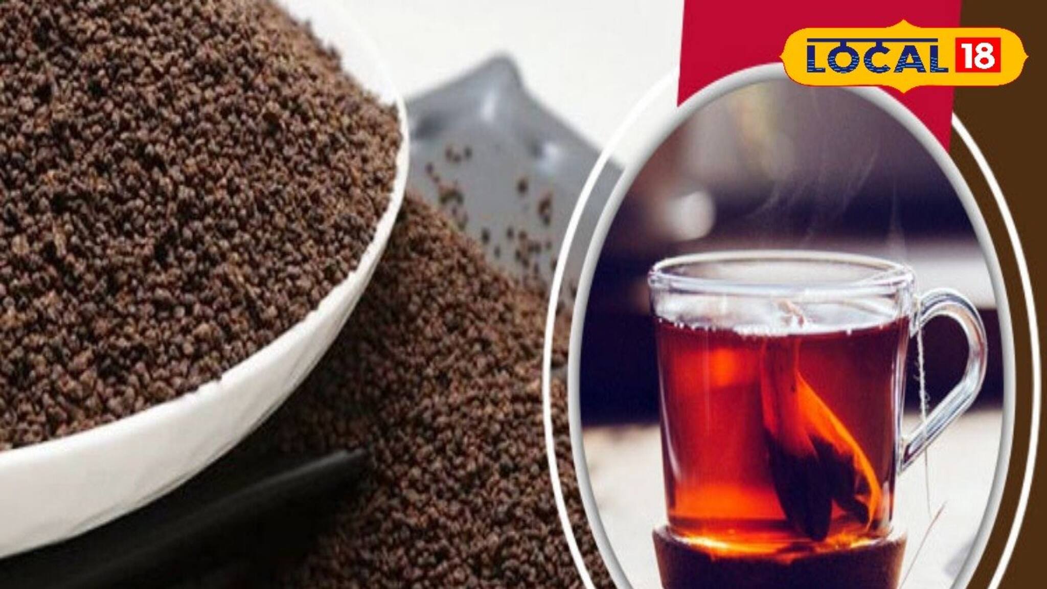 শীত মানেই জুতোয় দুর্গন্ধ, সামান্য চা-পাতাতেই মুশকিল আসান, লোকলজ্জার চিরমুক্তি!