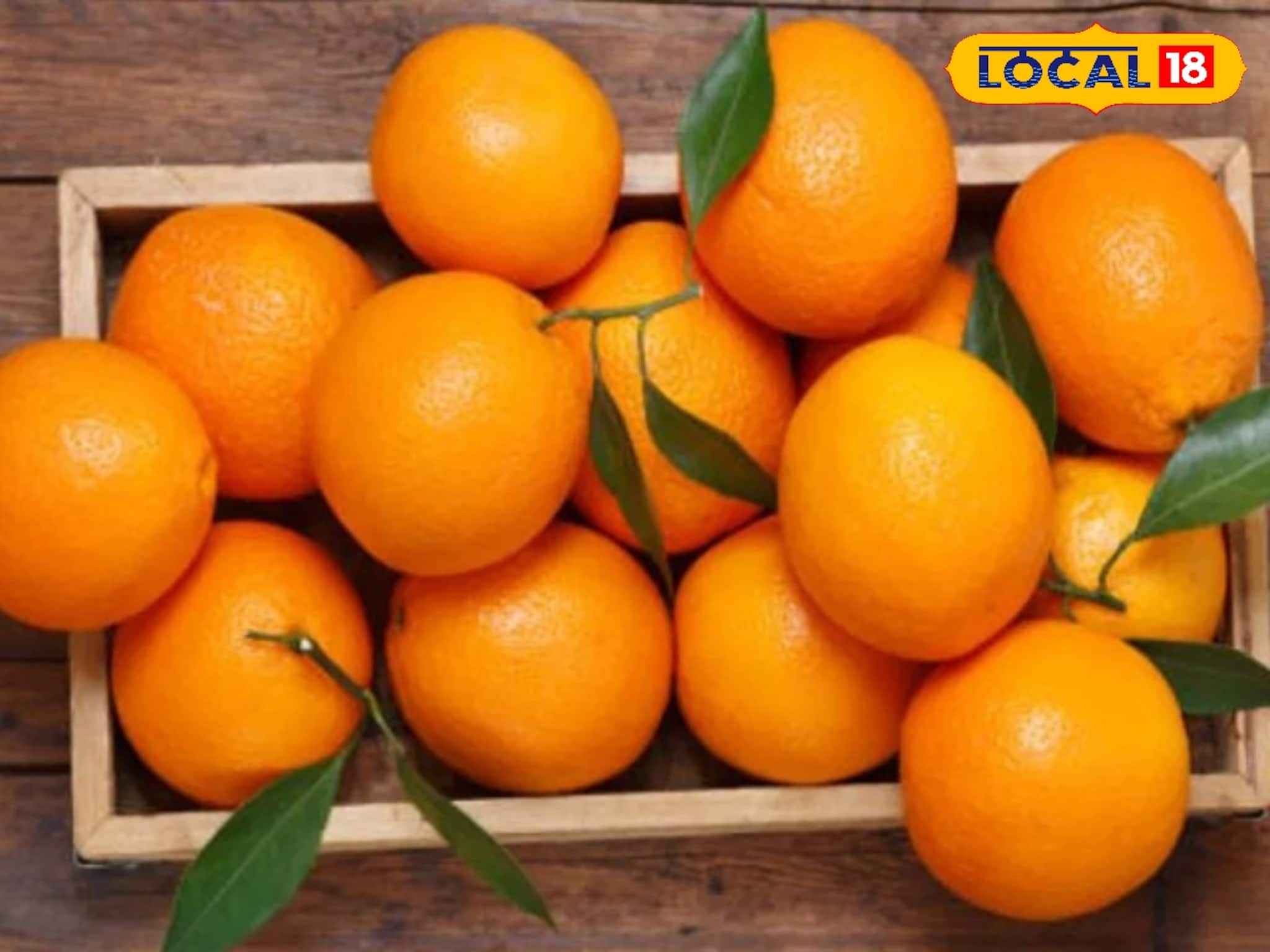 বহু মারণ রোগ দূর করতে পারে একটা কমলালেবু! রোজ খাওয়া কি উচিত? জানুন চিকিৎসকের মত